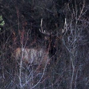 Meet your Posher, Jeff